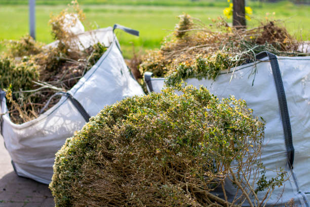 Best Trash Removal Near Me  in Manistee, MI